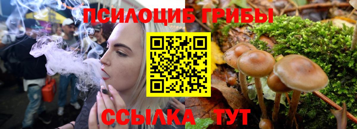 Галлюциногенные грибы MAGIC MUSHROOMS Орёл