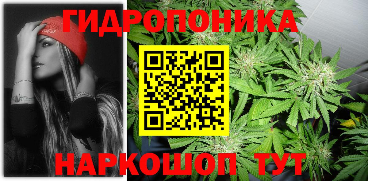 Бошки марихуана план Орёл